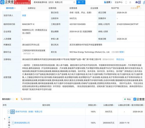 蔚來武漢布局新篇章 成立新能源科技公司，深化AI與軟件開發