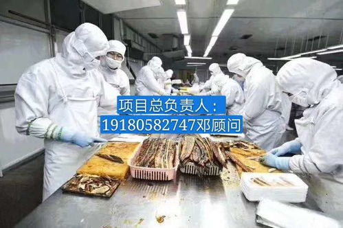 普瑞瑪扳手泵 報價、廠家與軟件代理服務全解析
